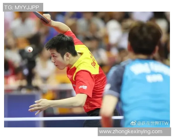 深圳乒乓球队个人能力排名创新高引发广泛关注与讨论