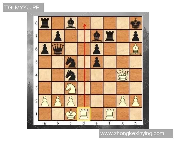 成都排球队整体压制打法深度解析与战术优势剖析